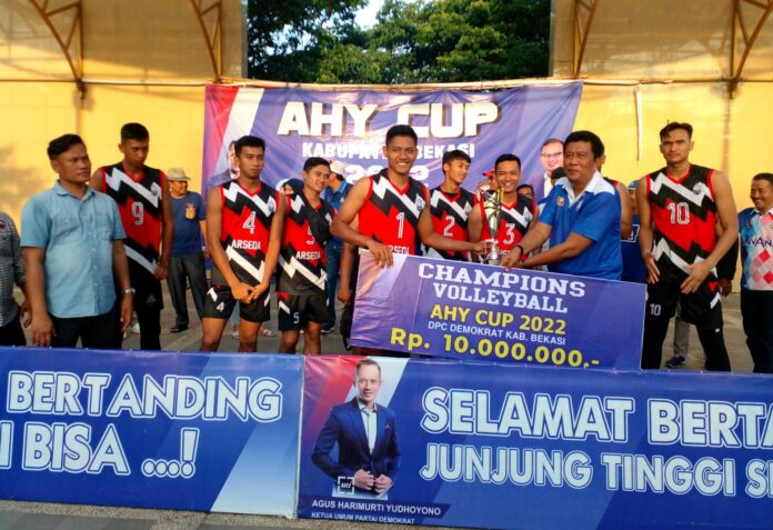 Ahy Cup